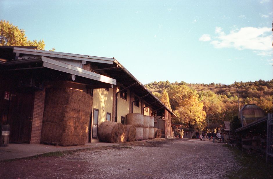 Cascina