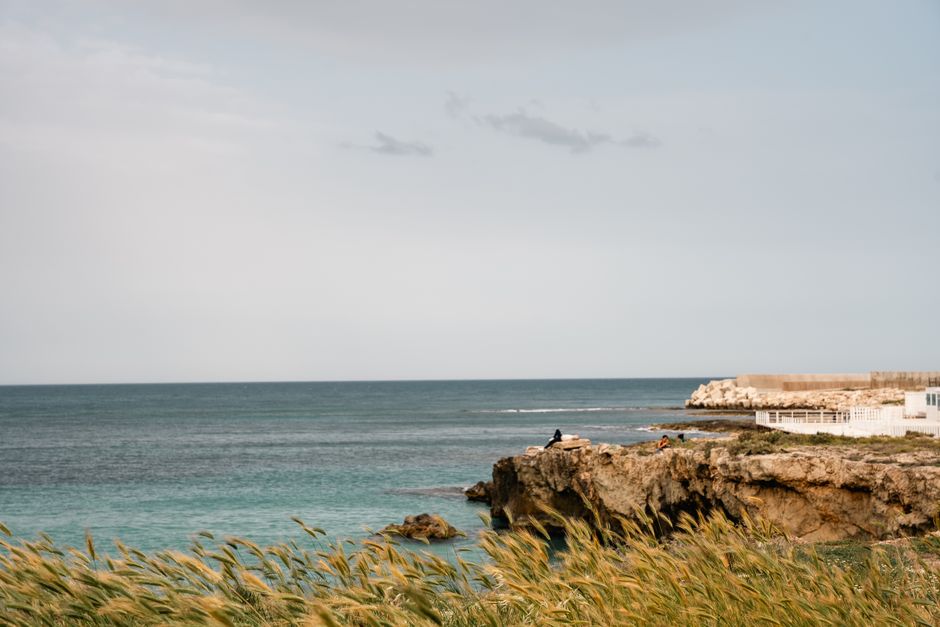 Monopoli