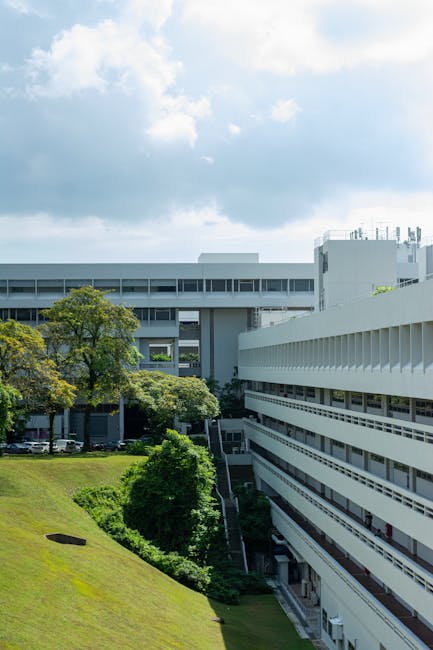 Nus