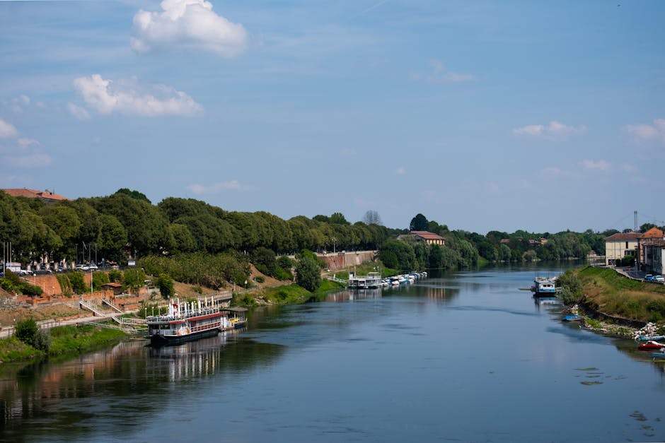 Pavia