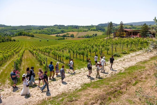 12 Days Tuscany History and Culture Tour