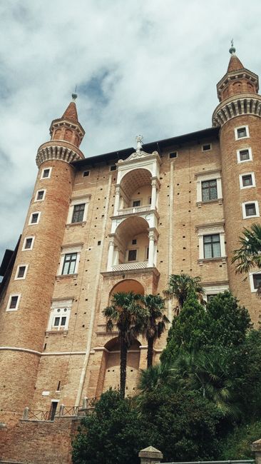 Urbino